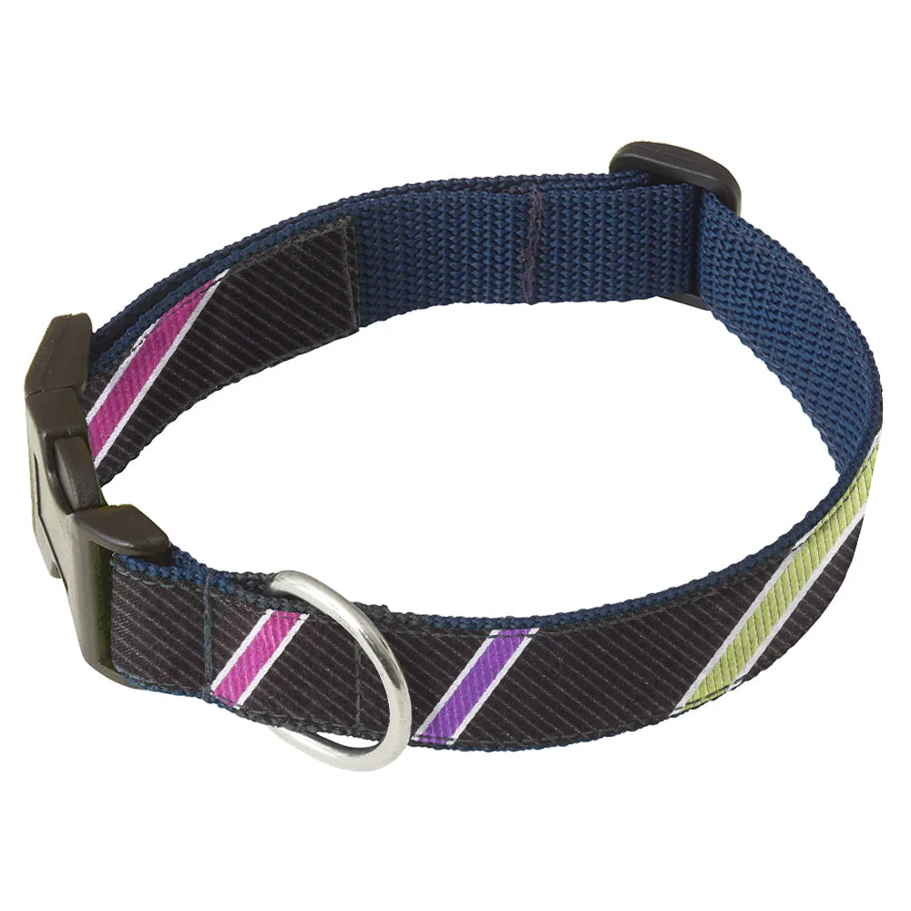 Euphonium - Dog Collar
